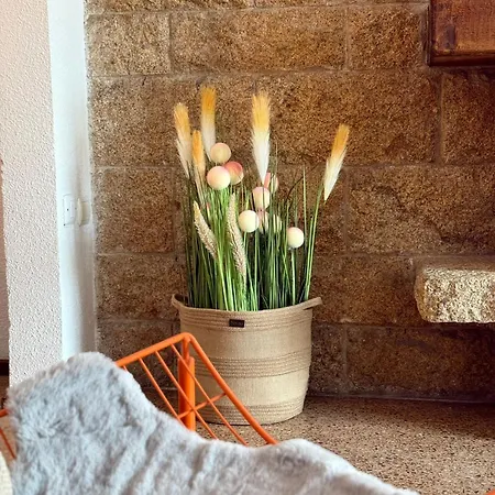 Apartament La Nogalera *