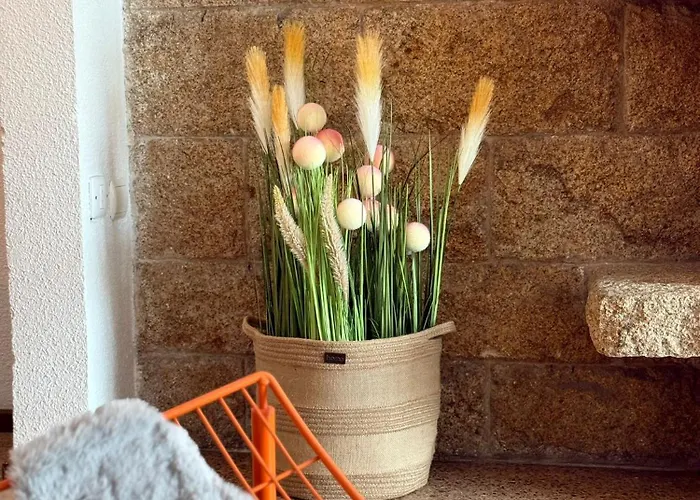 Apartment La Nogalera *